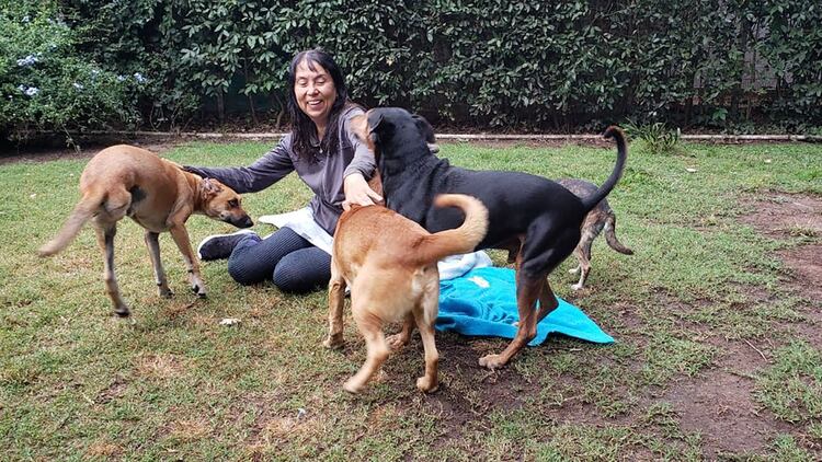 En Aprani Alicia es feliz junto a sus perros.