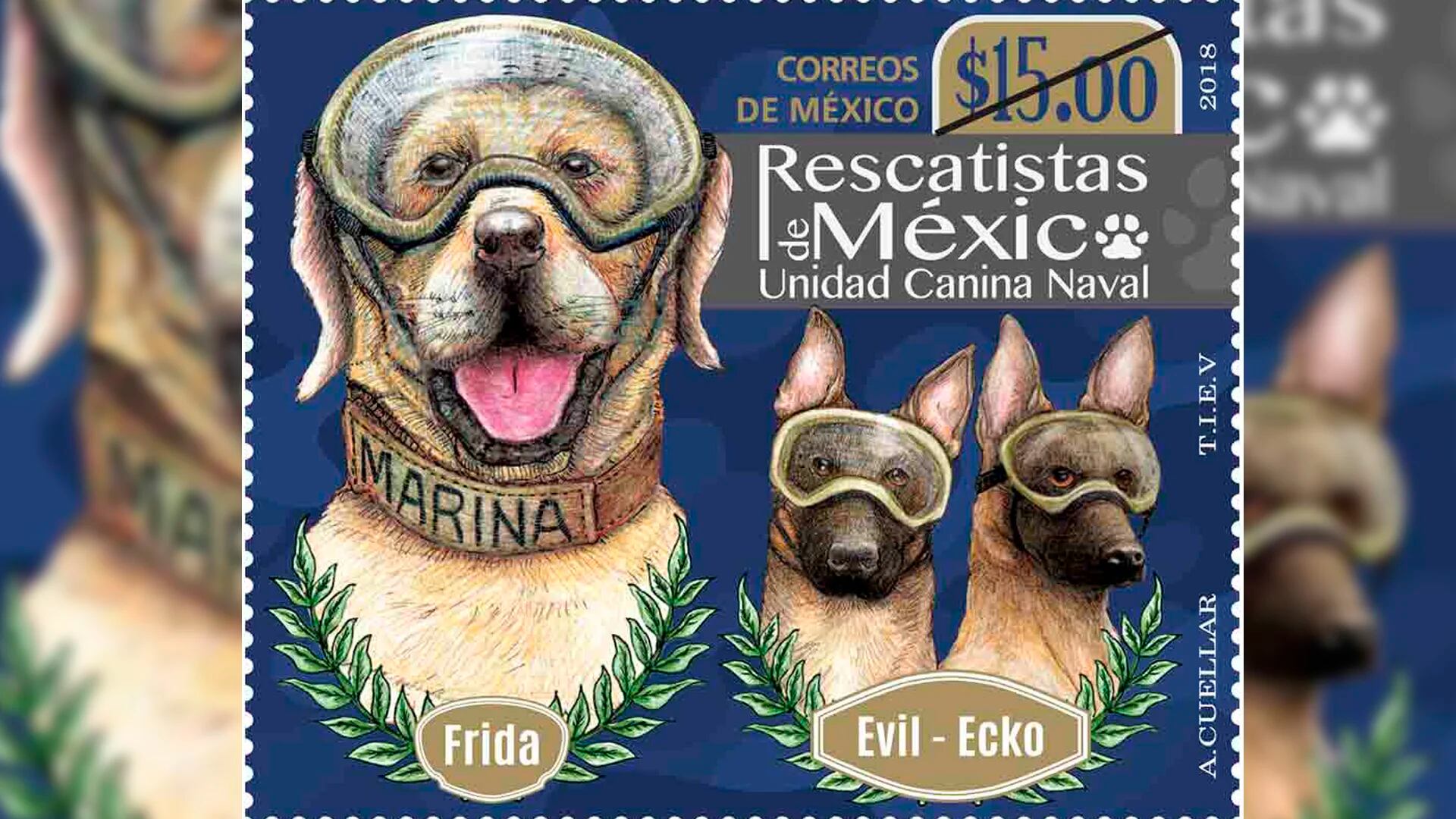 Frida y otros perros héroes del terremoto en México ya tienen su estampilla  especial - Infobae