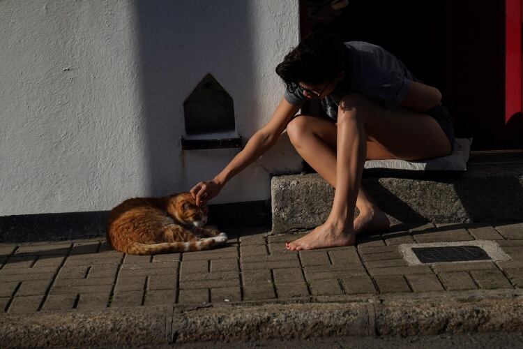 Una mujer acaricia a un gato durante la cuarentena en Dublín (REUTERS/Clodagh Kilcoyne)