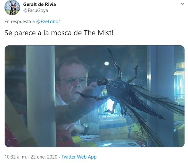 ESPELUZNANTE: Un mosquito GIGANTE causó PÁNICO en la ciudad de Córdoba