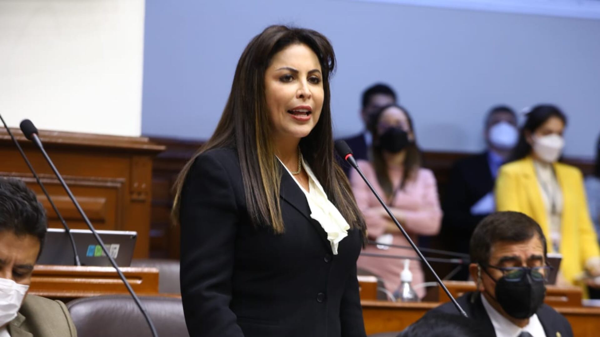 Patricia Chirinos liderará la Comisión de Defensa. 
Foto: Andina