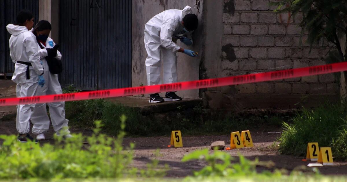 Macabre discovery in Veracruz: two dismembered bodies were found in Xalapa