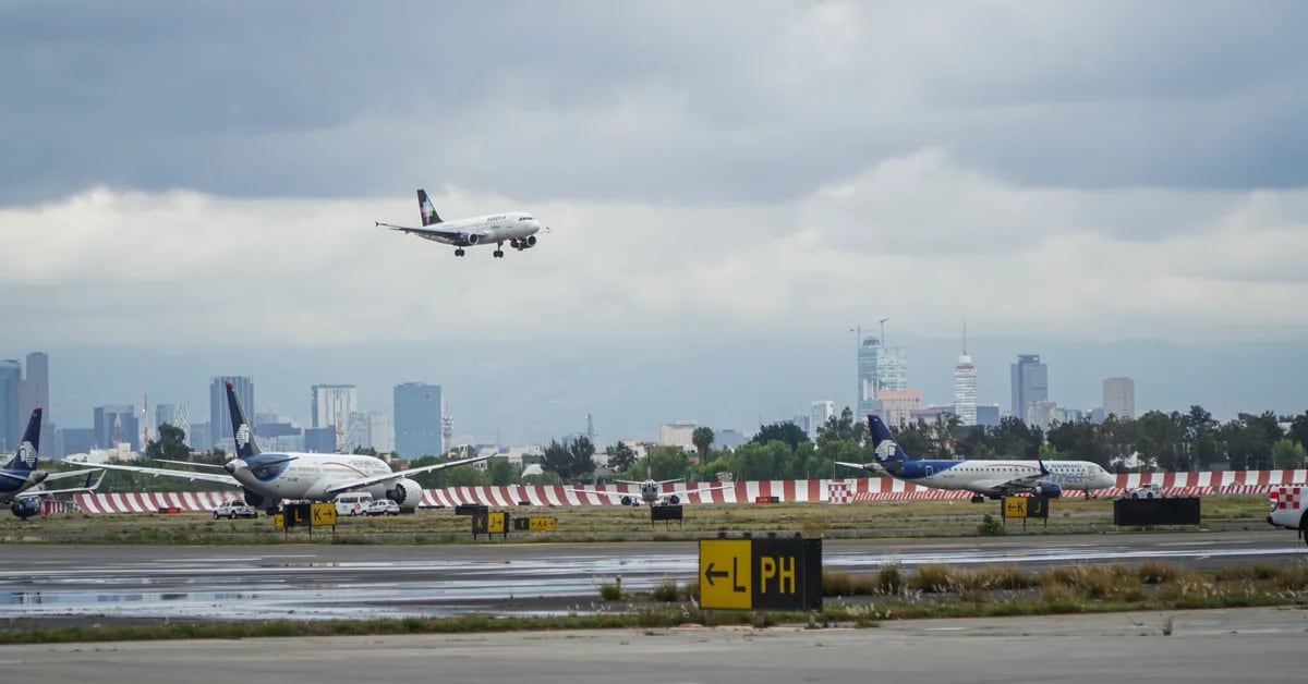 Lorette de Mola ha rivelato 38 ulteriori violazioni dello spazio aereo: ‘incompetenza dell’attuale governo’