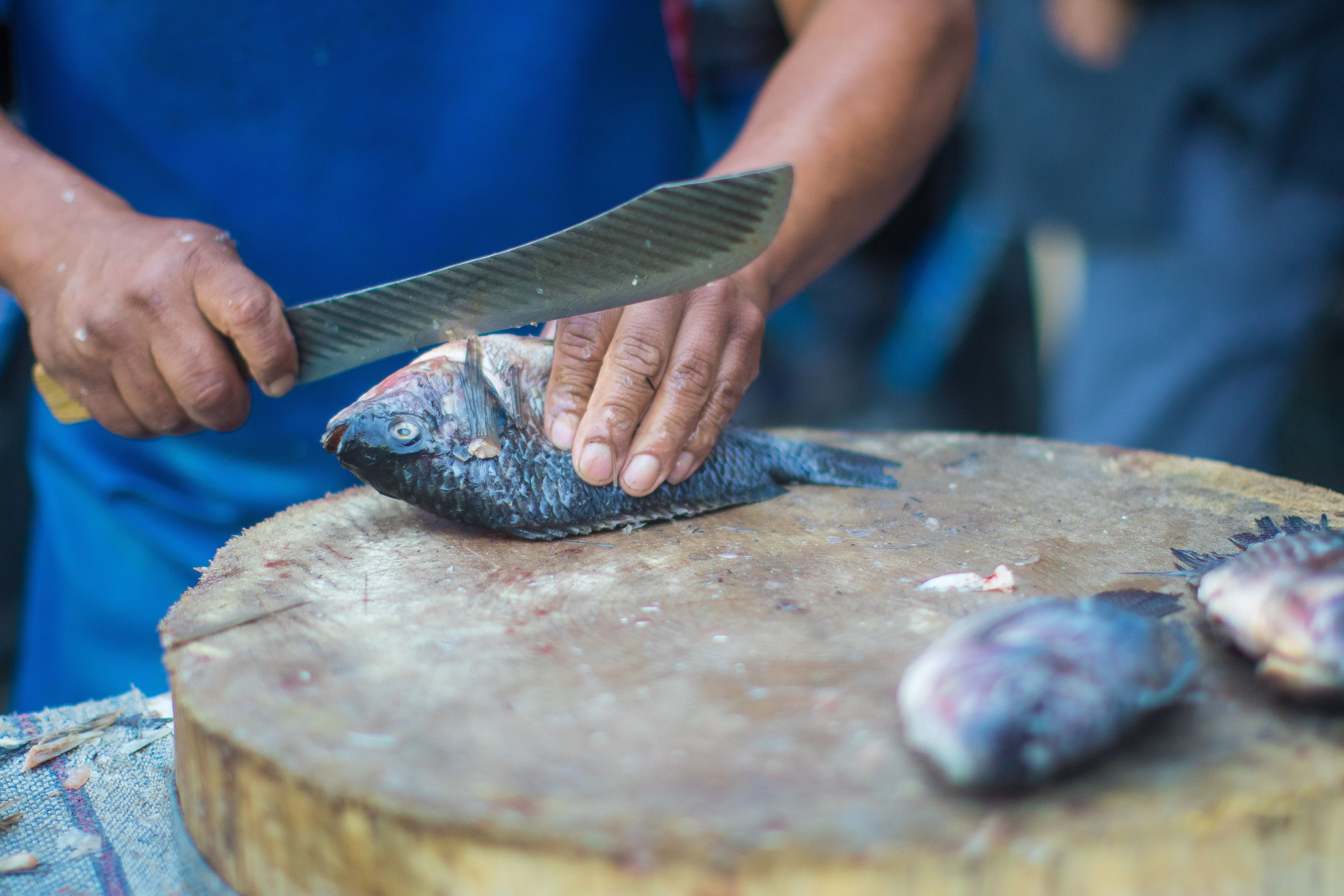 La carne roja se puede reemplazar por el consumo de más pescado (Isaac Esquivel/Cuartoscuro.com)