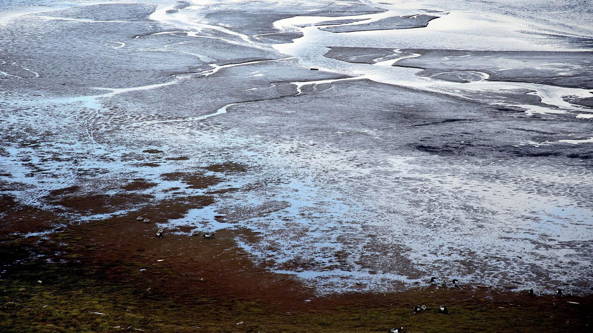El permafrost se derrite e impacta en la vida humana, como así también  en el medio ambiente
