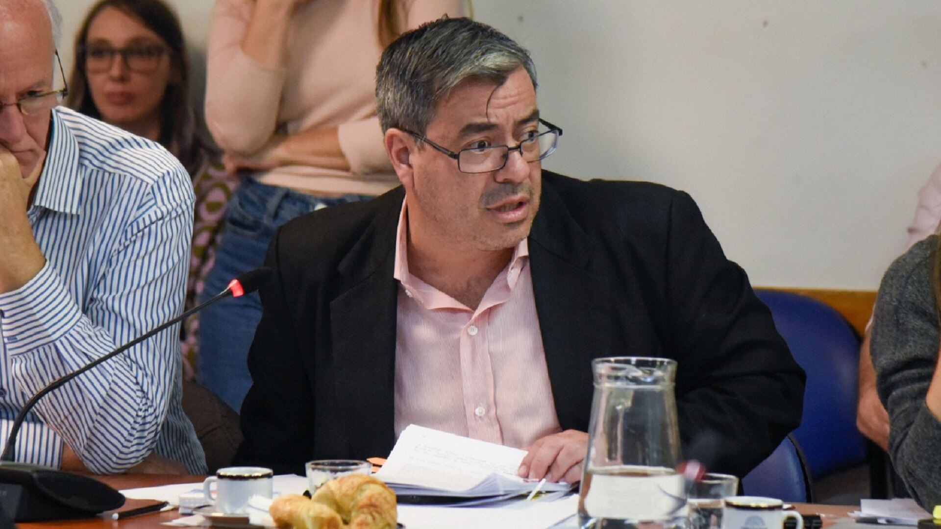Germán Martínez en la comisión de Juicio Político