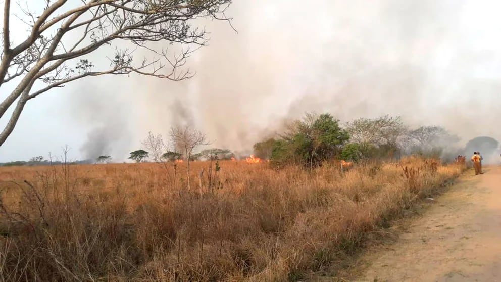 Fires in Corrientes: the provincial government declared a state of agricultural disaster