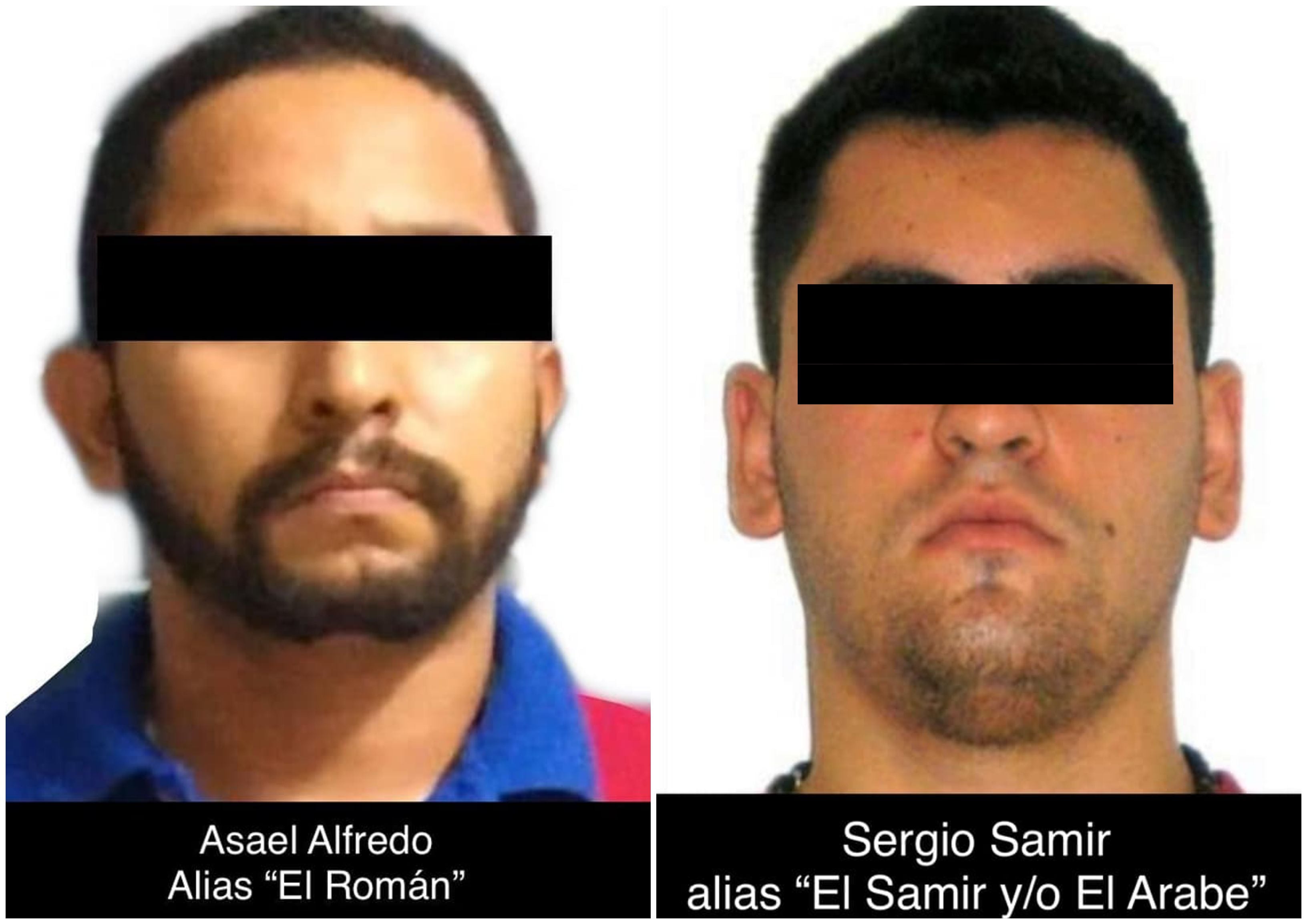 Los arrestados fueron puestos a disposición de la Fiscalía de Veracruz (Foto: Especial)
