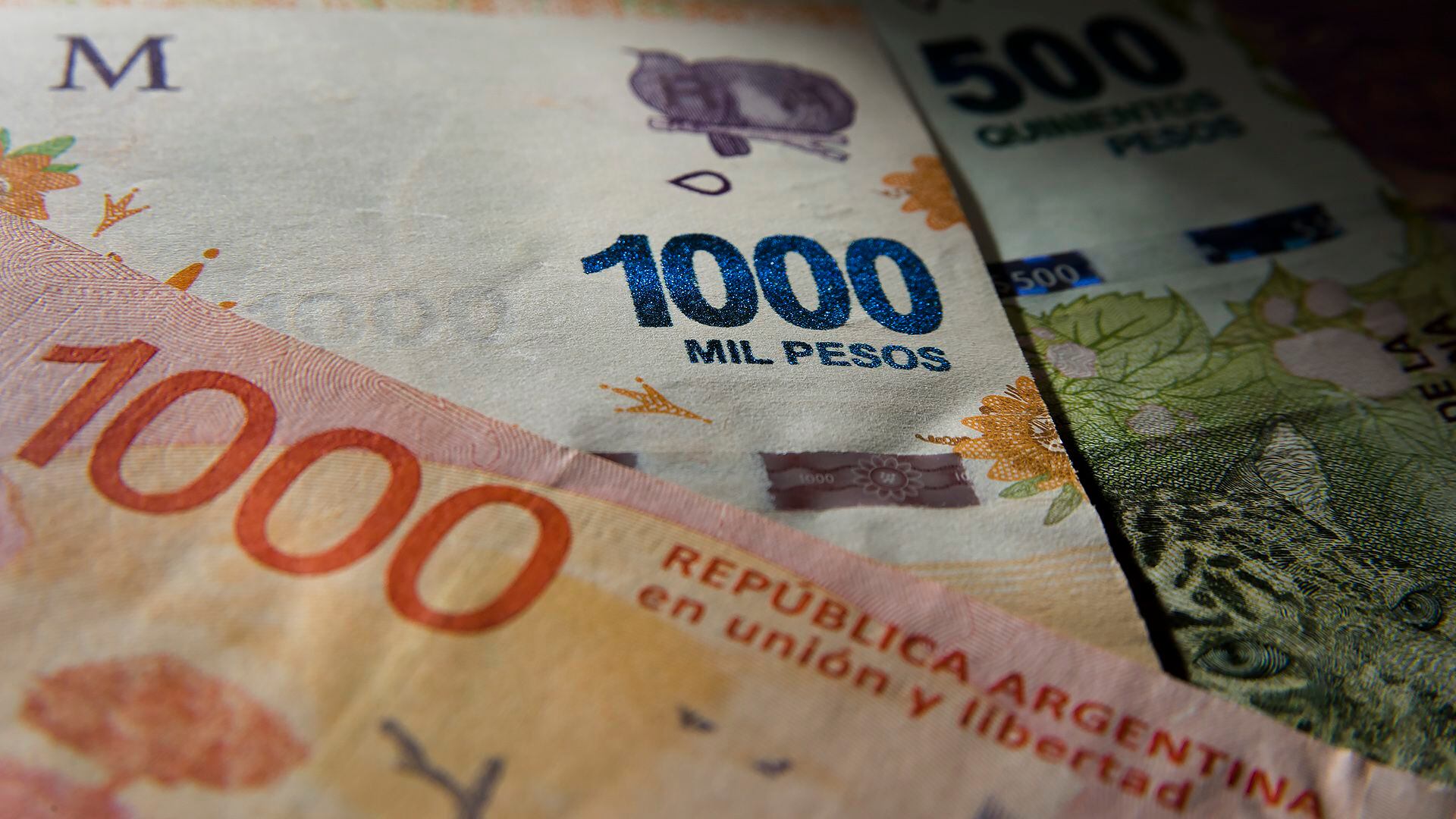 El 18 de marzo pasado se presentó un proyecto de ley para que el BCRA emita billetes de $5.000 (Adrián Escandar).