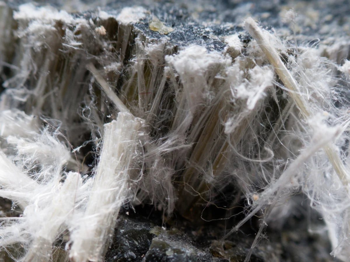 Qué es el asbesto, y por qué se lo considera responsable del término  edificios enfermos - Infobae