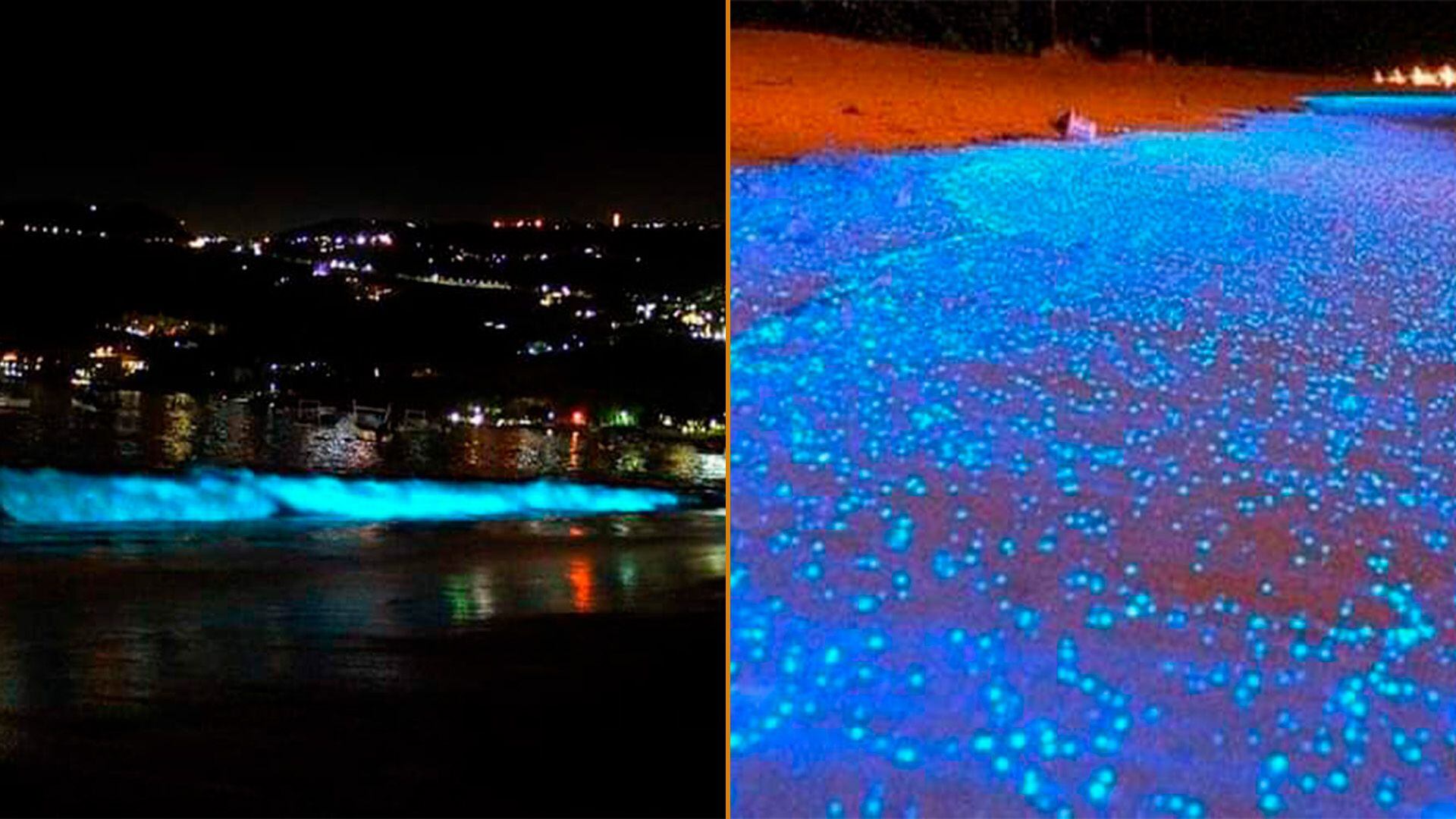 bioluminiscencia; acapulco; pie de la cuesta