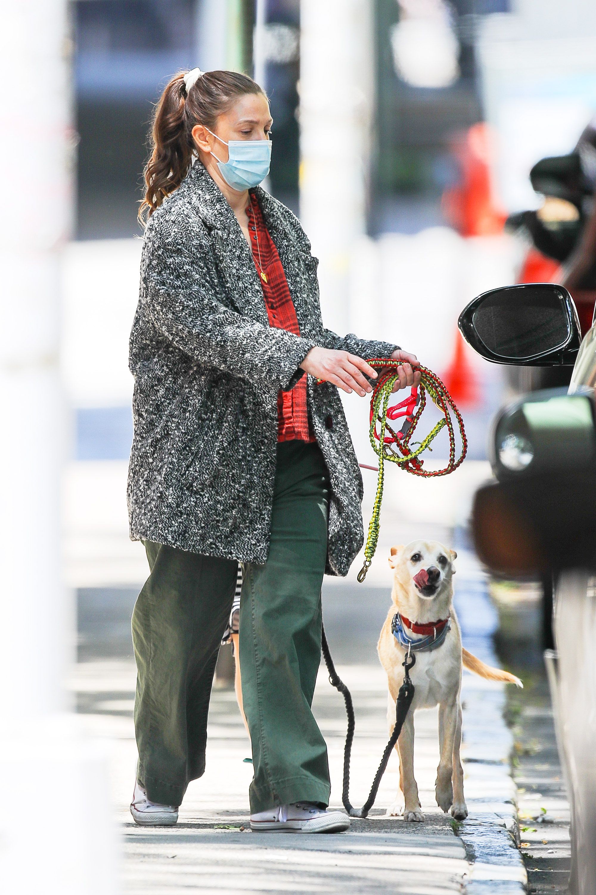 Drew Barrymore sacó a pasear a su perro por las calles de Nueva York y aprovechó para tomar aire fresco. Llevó puesto un pantalón verde, una camisa roja y negra y un tapado gris. Además, utilizó su correspondiente tapabocas (Fotos: The Grosby Group)
