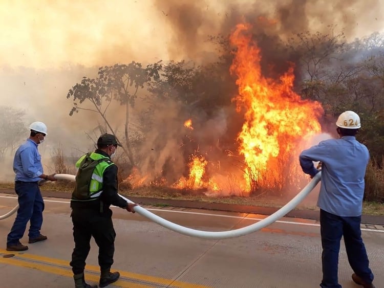 Imágenes de la devastación y las acciones de personal que intentan sofocar el fuego en Bolivia