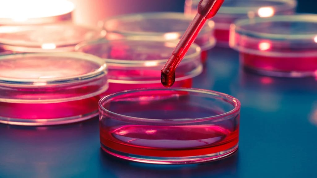 Una gota de sangre puede ayudar a detener enfermedades (Shutterstock)