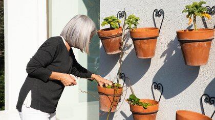 “Hago mis propias levaduras, condimento con lo que cultivo, que no sólo es más sano sino que es más rico porque están frescos”, cuenta