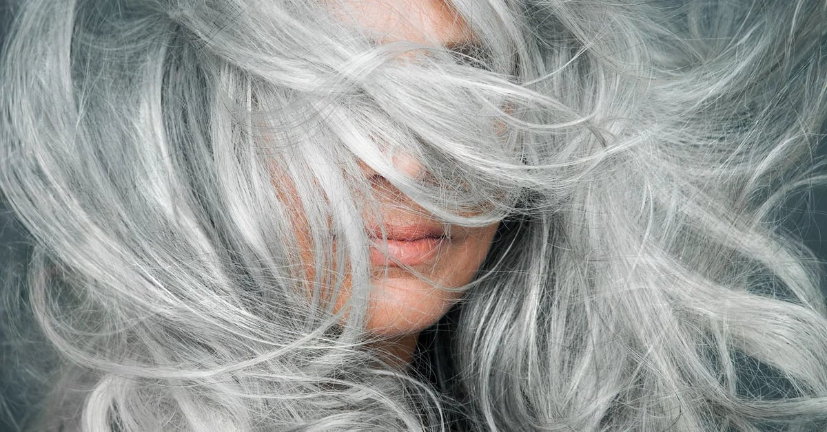 When one gray hair is plucked out, do seven more grow?