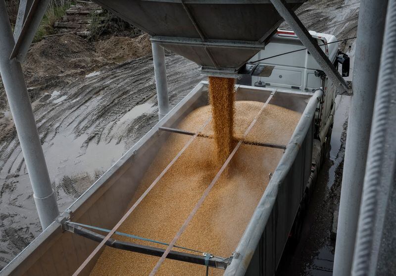 Carga de maíz, uno de los principales rubros de exportación de la Argentina
REUTERS/Gleb Garanich