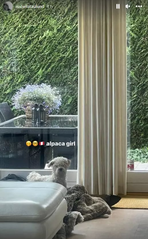 Oliver Sonne y su novia llamaron Alpaca a su mascota.