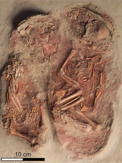 Entierro con los restos óseos de los dos bebés recuperados como bloque en 2005. Fotografía: Museo de Historia Natural de Viena
