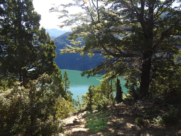 En lago verde abundan las pasarelas, trekking, travesías en el lago, flotada pesquera, kayak, escaladas (Flavia Tomaello)