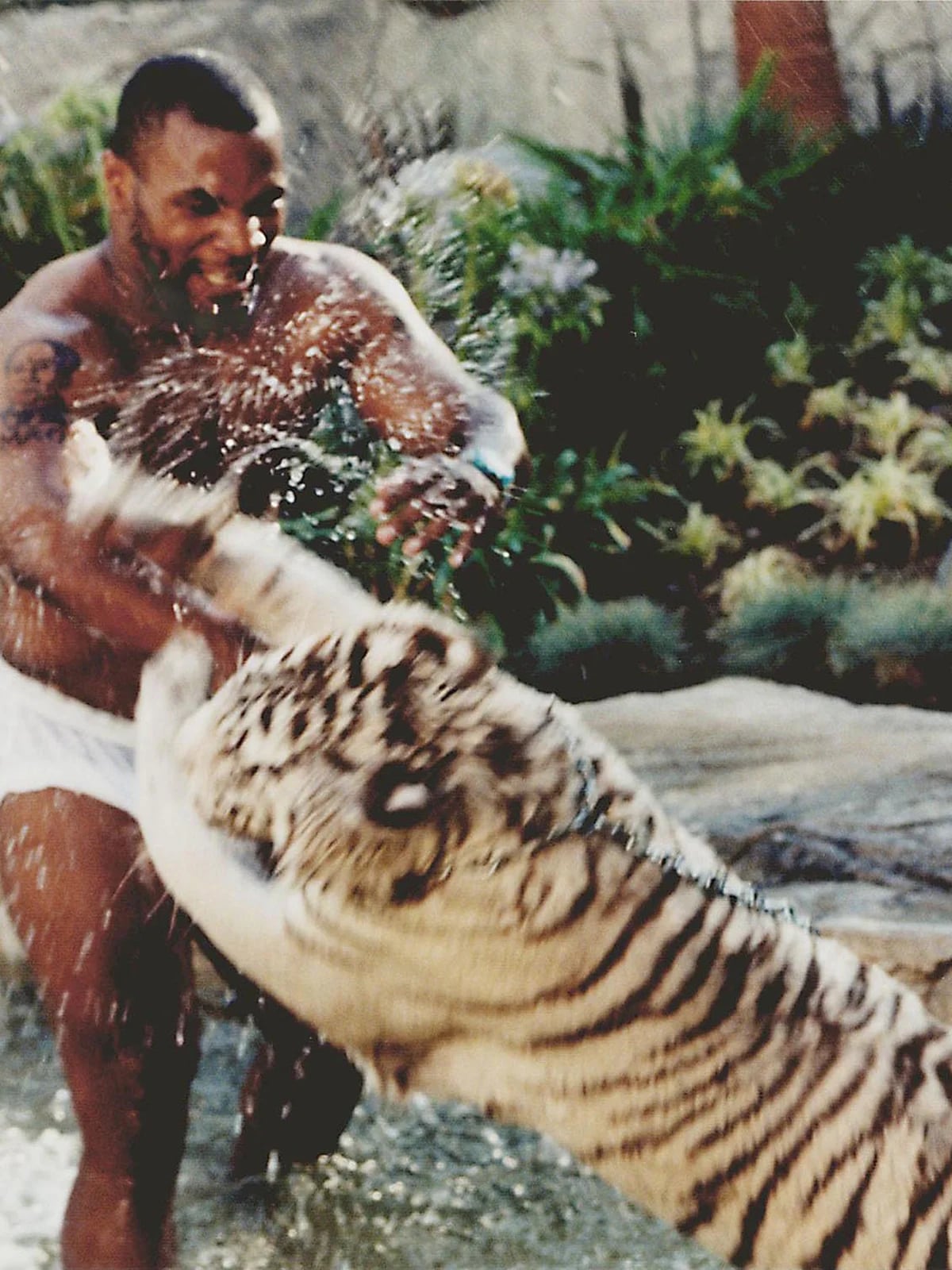 Mike Tyson revealed what the worst part was about sleeping with his Bengal  tigers - Infobae