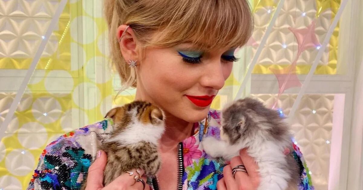 Who are the adorable cats who stole Taylor Swift’s heart?