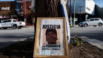 El cantero y el árbol donde Fernando fue asesinado (Diego Medina)