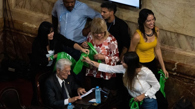 Las diputadas del Frente de Todos se repartieron pañuelos verdes (Franco Fafasuli)