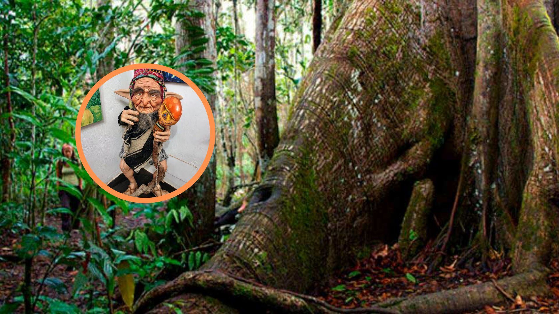 Sumérgete en el enigmático mundo de la Lupuna, donde la ciencia y lo sagrado se entrelazan. Este árbol amazónico ofrece más que sombra: promete curación, historia y un vínculo directo con lo sobrenatural.