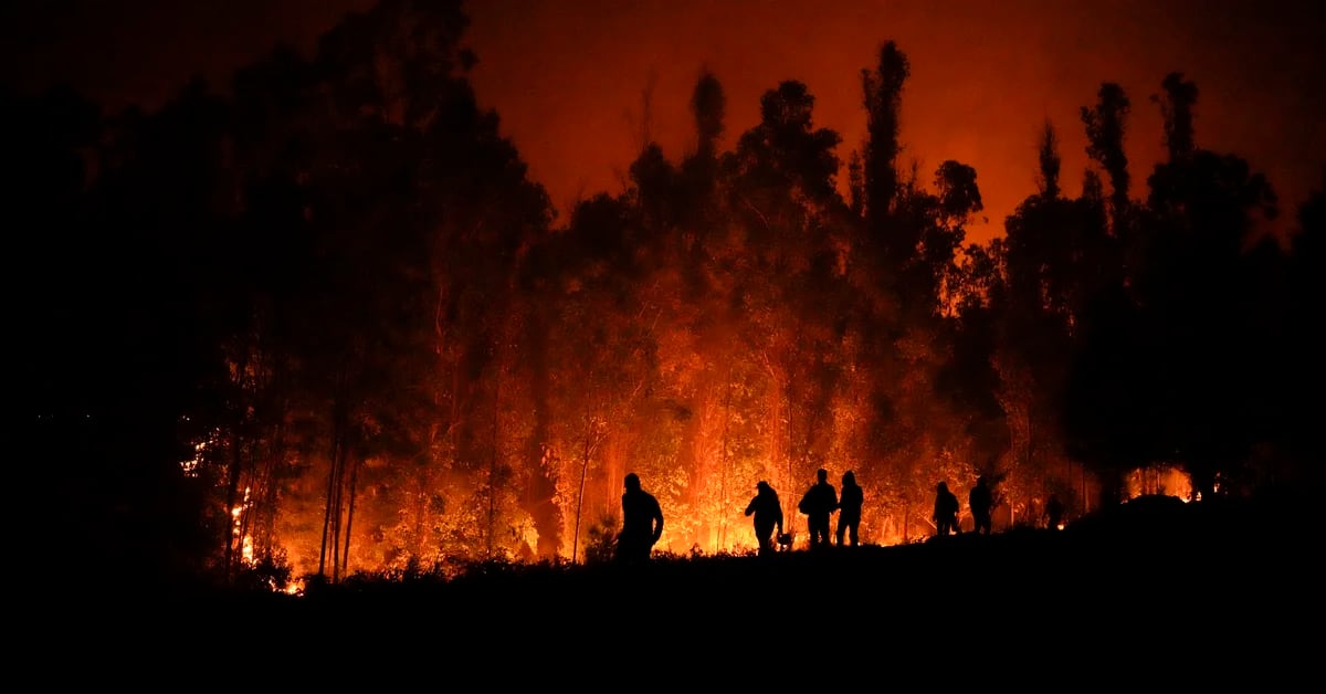 Wildfires: Firefighters battle blazes and seek to halt progression in Corrientes