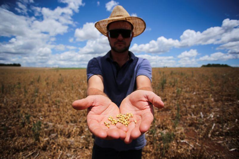 Hay menos porotos, parece decir este productor 
REUTERS/Diego Vara