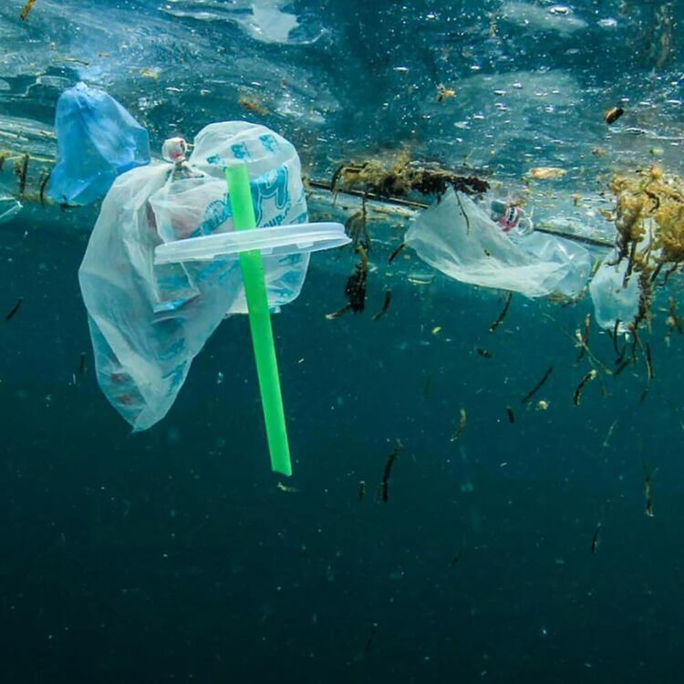 Los plásticos abandonados en las playas o flotando en el mar terminan reduciéndose a partículas pequeñas con gran capacidad de dispersión