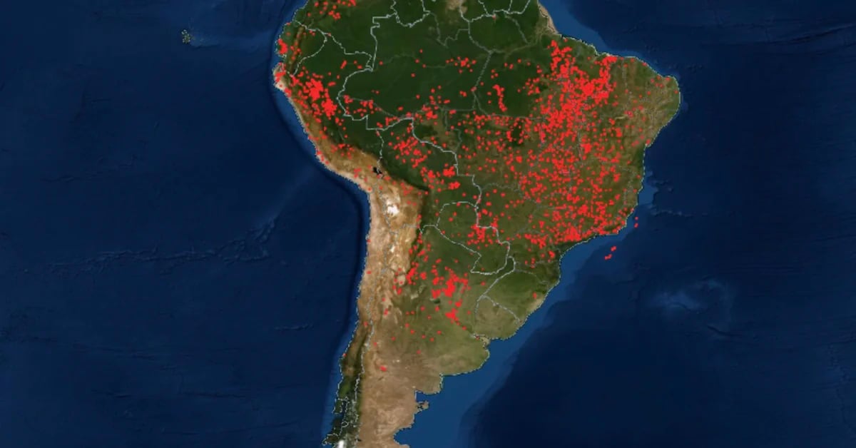 Mit dieser Karte können Sie alle Brände der Welt in Echtzeit verfolgen