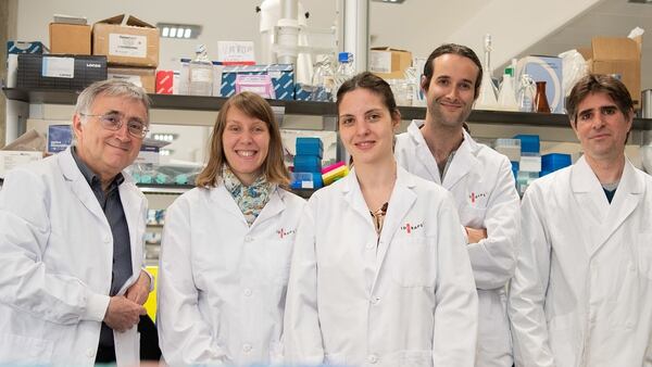 Los investigadores españoles en el laboratorio de Barcelona