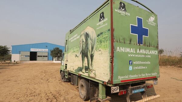 Una ambulancia para el traslado de elefantes aparcada en el exterior del Hospital de Elefantes Wildlife SOS en Mathura (EFE/ Harish Tyagi)