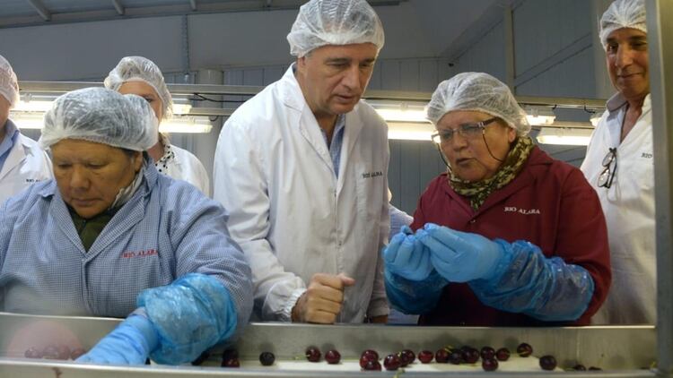 El Secretario de Gobierno de Agroindustria durante su recorrido por una planta de empaque de cerezas