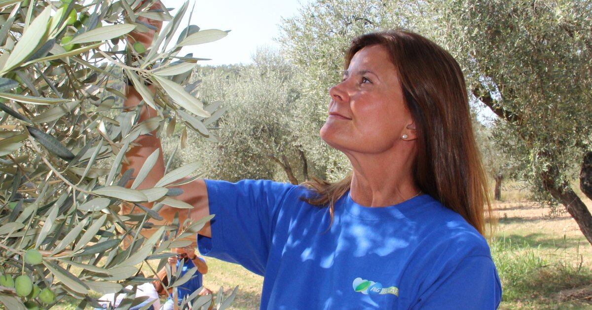 P&G employees in Spain sponsor thousands of olive trees in Teruel to help stop the abandonment of rural areas