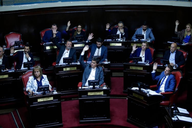 El senado bonaerense aprobó la ley impositiva enviada por Axel Kicillof pero lo hizo con cambios (Santiago Salva)