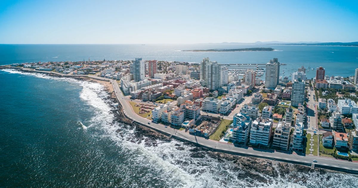 Punta del Este has announced a fumigation program in response to the wave of mosquitoes invading the city