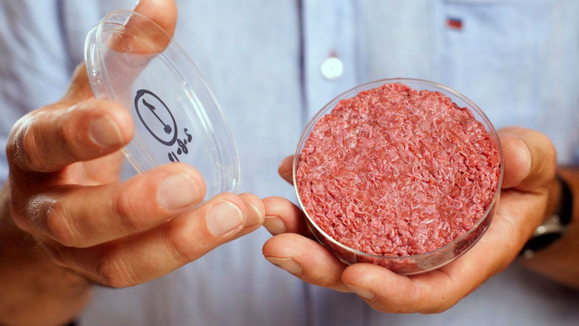 Florida, hogar de un importante sector ganadero, enfrenta el futuro alimentario con restricciones a la carne de laboratorio. (Reuters)