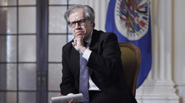 Luis Almagro, secretario general de la OEA (EFE)