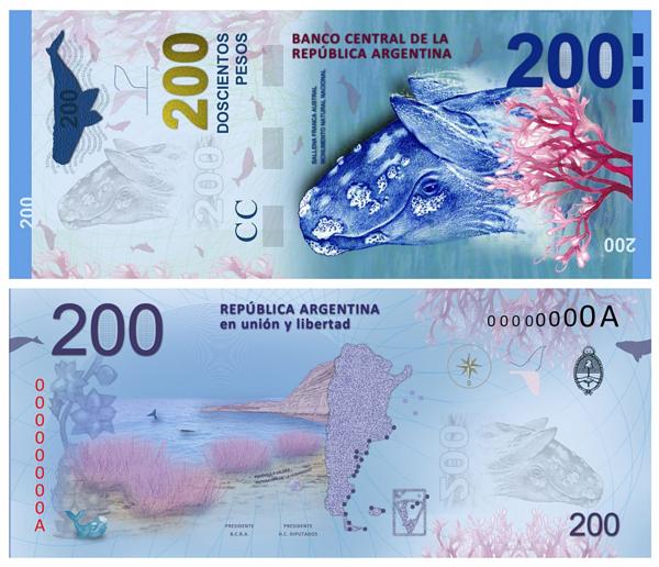 Para el próximo año está previsto lanzar el billete de $1000 con la imagen del hornero (NA)