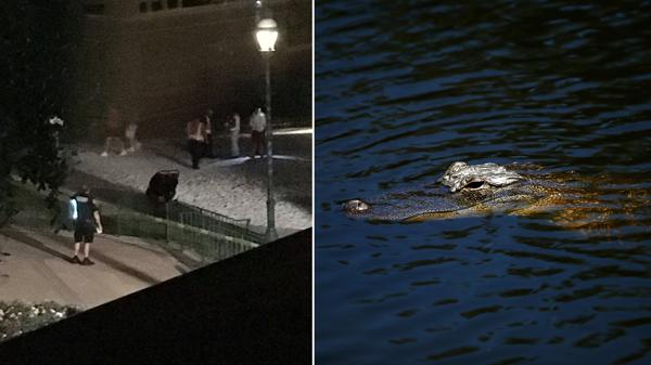 Escenas de desesperación en el Grand Floridian Resort & Spa de Magic Kingdom, donde un cocodrilo atrapó y mató a un niño de dos años