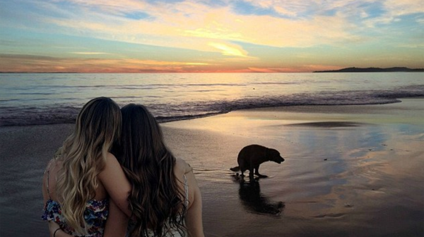 El ocaso, con un perro defecando