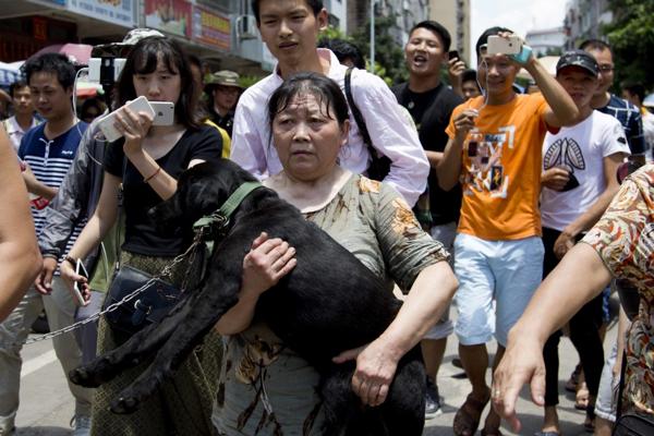Una activista logra rescatar a uno de los perros (AP)