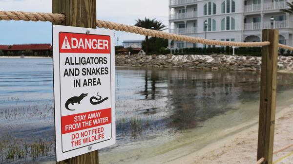 Los carteles que advierten sobre la presencia de cocodrilos fueron colocados en Disney luego de la muerte de Lane Graves (AP)