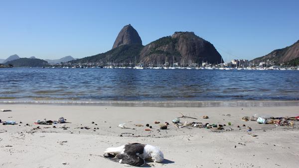 Las imágenes idílicas de Río contrastan con la contaminación de la Bahía de Guanabara.