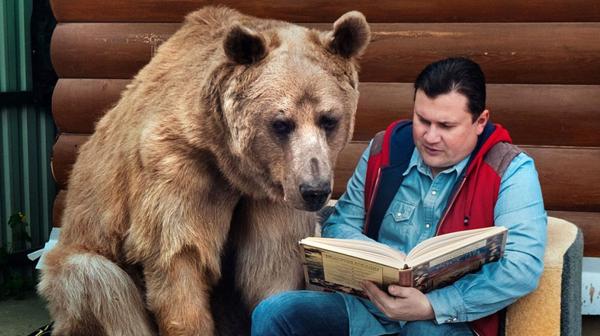 Stepan es un oso que pesa 136 kilogramos y mide más de 2 metros de altura