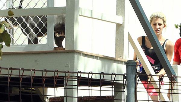 Jenna Driscoll arriba a su casa en Brisbane. Allí puede verse al pitbull