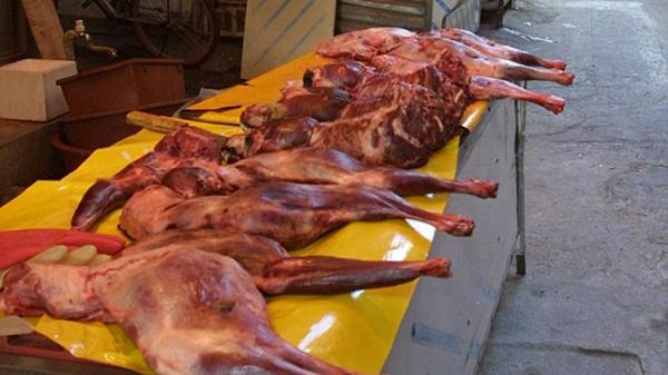 Kim Jong-un aconsejó matar a golpes a los perros para que la carne tenga mejor gusto